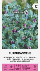 ВОСКОВНИК PURPURASCENS 1 Г цена и информация | Семена цветов | 220.lv
