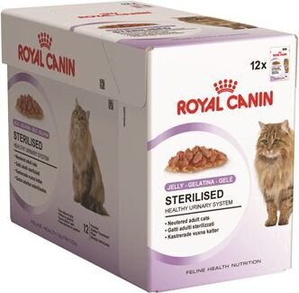 ROYAL CANIN FHN WET 85Gx12 STERILISED IN JELLY KAĶIEM цена и информация | Konservi kaķiem | 220.lv