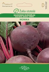 BIETES SARKANĀS MONIKA cena un informācija | Dārzeņu, ogu sēklas | 220.lv