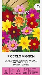 ГЕОРГИНЫ PICCOLO MIGNON 1 Г цена и информация | Семена цветов | 220.lv