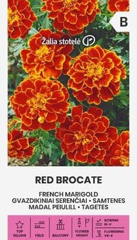 БАРХАТЦЫ ГВОЗДИКОЦВЕТНЫЕ RED BROCATE 1 Г цена и информация | Семена цветов | 220.lv