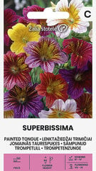 Семена SUPERBISSIMA, 0.5 г цена и информация | Семена цветов | 220.lv