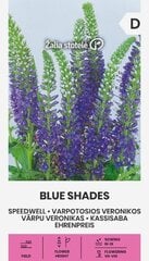ВЕРОНИКА КОЛОСИСТАЯ BLUE SHADES 0,5 Г цена и информация | Семена цветов | 220.lv