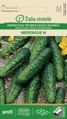 ĪSAUGĻU GURĶI MERENGUE H цена и информация | Семена овощей, ягод | 220.lv