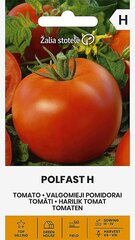 TOMĀTI POLFAST H цена и информация | Семена овощей, ягод | 220.lv