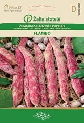 KRŪMU PUPIŅAS FLAMBO цена и информация | Семена овощей, ягод | 220.lv