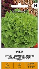 DĀRZA SALĀTI VIZIR цена и информация | Семена овощей, ягод | 220.lv