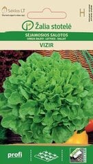 DĀRZA SALĀTI VIZIR цена и информация | Семена овощей, ягод | 220.lv