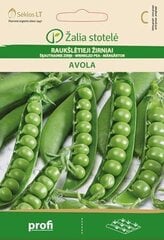 ŠĶAUTNAINIE ZIRŅI AVOLA цена и информация | Семена овощей, ягод | 220.lv