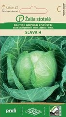 BALTIE GALVIŅKĀPOSTI SLAVA H цена и информация | Семена овощей, ягод | 220.lv