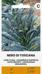 LAPU KĀPOSTI NERO DI TOSCANA cena un informācija | Dārzeņu, ogu sēklas | 220.lv