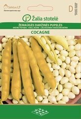 KRŪMU PUPIŅAS COCAGNE cena un informācija | Dārzeņu, ogu sēklas | 220.lv