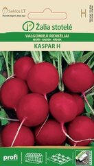 REDĪSI KASPAR H cena un informācija | Dārzeņu, ogu sēklas | 220.lv