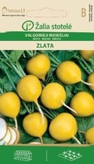 REDĪSI ZLATA цена и информация | Семена овощей, ягод | 220.lv