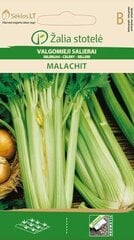 SELERIJAS MALACHIT цена и информация | Семена овощей, ягод | 220.lv