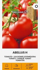 TOMĀTI ABELLUS H цена и информация | Семена овощей, ягод | 220.lv