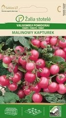 TOMĀTI MALINOWY KAPTUREK цена и информация | Семена овощей, ягод | 220.lv