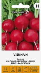 REDĪSI VIENNA H cena un informācija | Dārzeņu, ogu sēklas | 220.lv