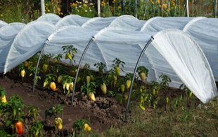 Агроплёнка защищающая от замерзания 3.2 x 10 м, 35 г / м2 цена и информация | Садовые инструменты | 220.lv