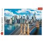Puzle Trefl New york 441, 1000 d. цена и информация | Puzles, 3D puzles | 220.lv