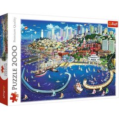 Пазл Puzzle 480 залив Сан-Франциско, 2000шт цена и информация | Пазлы | 220.lv