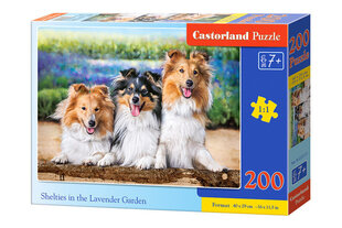Aitu suņi *200* cena un informācija | Puzles, 3D puzles | 220.lv