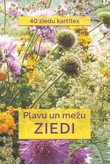 Pļavas un mežu ziedi / 40 ziedu kartītes цена и информация | Энциклопедии, справочники | 220.lv