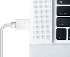 Puro Plain USB-A cena un informācija | Savienotājkabeļi | 220.lv