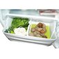 Antibakteriālu produktu paklājs ledusskapim 47x30cm цена и информация | Virtuves piederumi | 220.lv