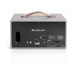 Audio Pro C5, серый цена и информация | Аудиоколонки | 220.lv