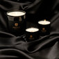 Komplekts ar 3 aromātiskajām svecēm: Delice d'Orient, Safran - Ambre Noir, Black Woods cena un informācija | Sveces un svečturi | 220.lv