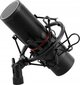 Mikrofons Redragon Blazar GM300 (RED-GM300) cena un informācija | Mikrofoni | 220.lv