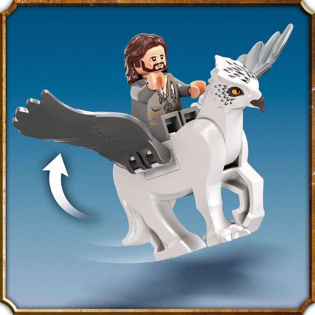 76401 LEGO® Harry Potter Cūkkārpas pagalms: Siriusa glābšana цена и информация | Konstruktori | 220.lv