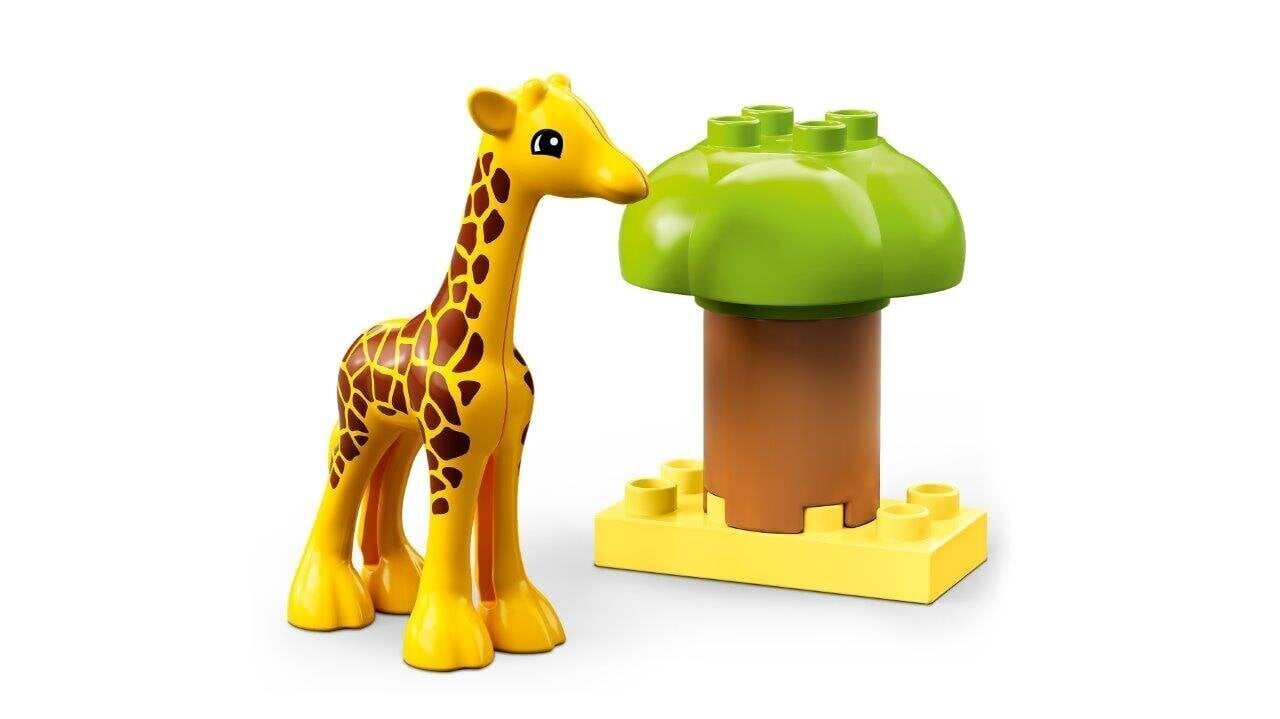 10971 LEGO® DUPLO Savvaļas Āfrikas dzīvnieki cena un informācija | Konstruktori | 220.lv