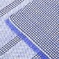 Telts paklājs, 500x250 cm, zils цена и информация | Tūrisma matrači un paklājiņi | 220.lv
