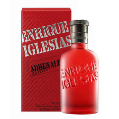 Enrique Iglesias Adrenaline EDT vīriešiem 30 ml cena un informācija | Enrique Iglesias Smaržas, kosmētika | 220.lv