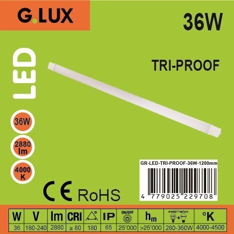 LED gaismeklis IP65 G.LUX GR-LED-TRI-PROOF-36 W-1200 mm cena un informācija | Griestu lampas | 220.lv