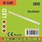 LED gaismeklis IP65 G.LUX GR-LED-TRI-PROOF-36 W-1200 mm cena un informācija | Griestu lampas | 220.lv