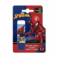 Бальзам для губ Spiderman Клубника (10 ml) цена и информация | Помады, бальзамы, блеск для губ | 220.lv