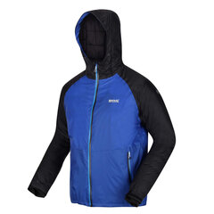 Мужская непромокаемая утепленная куртка Radnor Waterproof Insulated Jacket цена и информация | Мужские куртки | 220.lv
