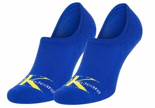Мужские носки Calvin Klein, синие 701218733 004 44579 цена и информация | Мужские носки | 220.lv