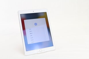 iPad Air 2 9.7" 16GB WiFi, Silver (lietots, stāvoklis A) цена и информация | Планшеты | 220.lv