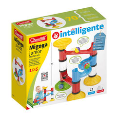 Игровой набор Quercetti Mi Goga Junior Basic, 6502 Li цена и информация | Развивающие игрушки | 220.lv