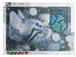 Malatec mozaīkas dimanta izšuvums 5D - kaķis ar tauriņu цена и информация | Dimantu mozaīkas | 220.lv