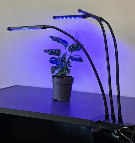 Lampa augu augšanai 3x20 LED cena un informācija | Diedzēšanas trauki, augu lampas | 220.lv