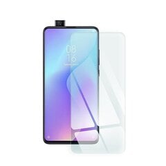 Защитное стеклышко Blue Star для Xiaomi Redmi Note 11 цена и информация | BlueStar Компьютерная техника | 220.lv