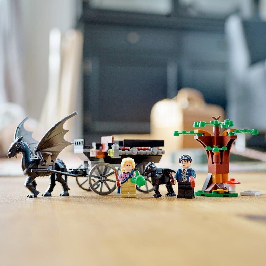 76400 LEGO® Harry Potter Cūkkārpas rati un testrāli cena un informācija | Konstruktori | 220.lv