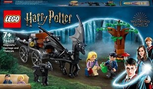 76400 LEGO® Гарри Поттер™ Хогвартс™ Карета и Фестралы цена и информация | Kонструкторы | 220.lv