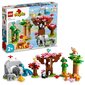 10974 LEGO® DUPLO Āzijas savvaļas dzīvnieki цена и информация | Konstruktori | 220.lv