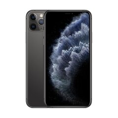 iPhone 11 Pro Max 64GB Space Gray (lietots, stāvoklis A) цена и информация | Мобильные телефоны | 220.lv